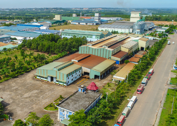 Hình ảnh giới thiệu